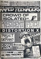 Konvolut HC Punk Konzert Poster aus den 90ern Toxic Reasons