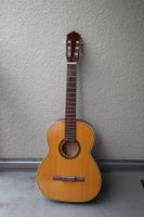 Gitare mit Tasche