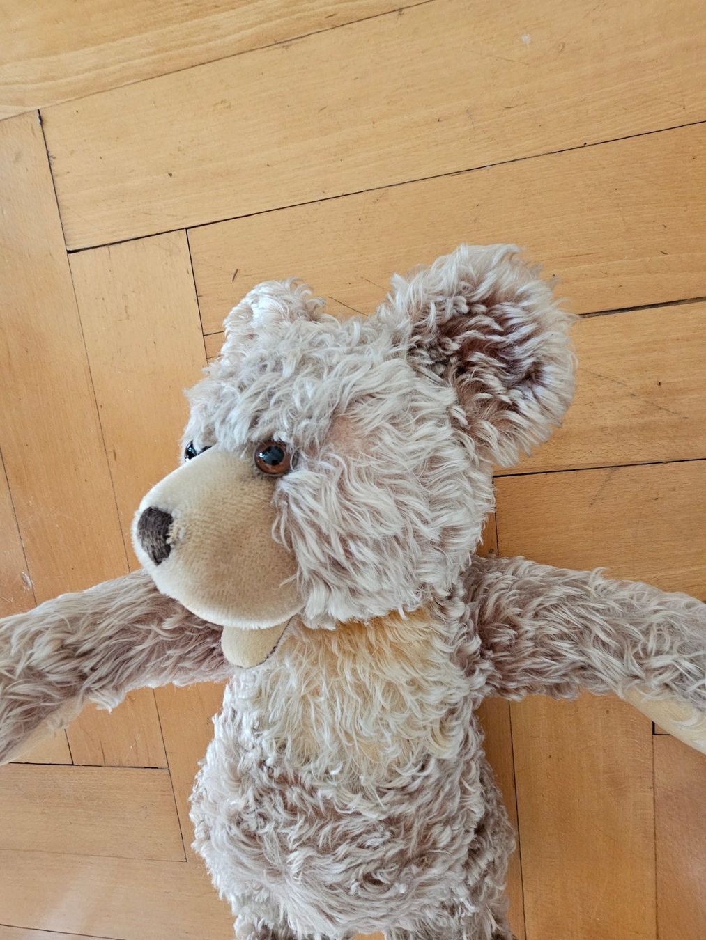 Spielzeuge: Teddybär – Gebraucht aus Zürich von tschudin.barbara 2