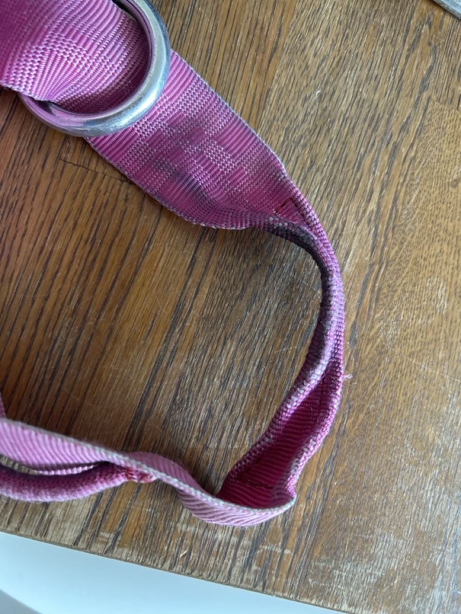 Mammut Attrezzatura da arrampicata: Klettergurt  pink blau Grösse ca. S, Gebraucht – Usato da Wolhusen venduto da eve_m6cg 3