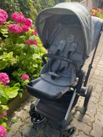 Poussette Cybex Édition Koi