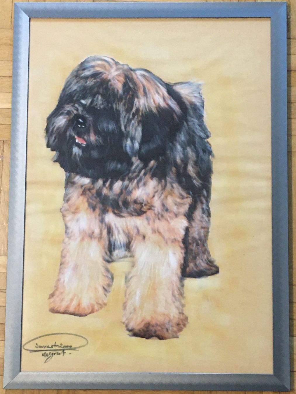 Foto & Immagini: Hunde - Bilder – Usato da Wangen b. Olten venduto da Finolino28 2
