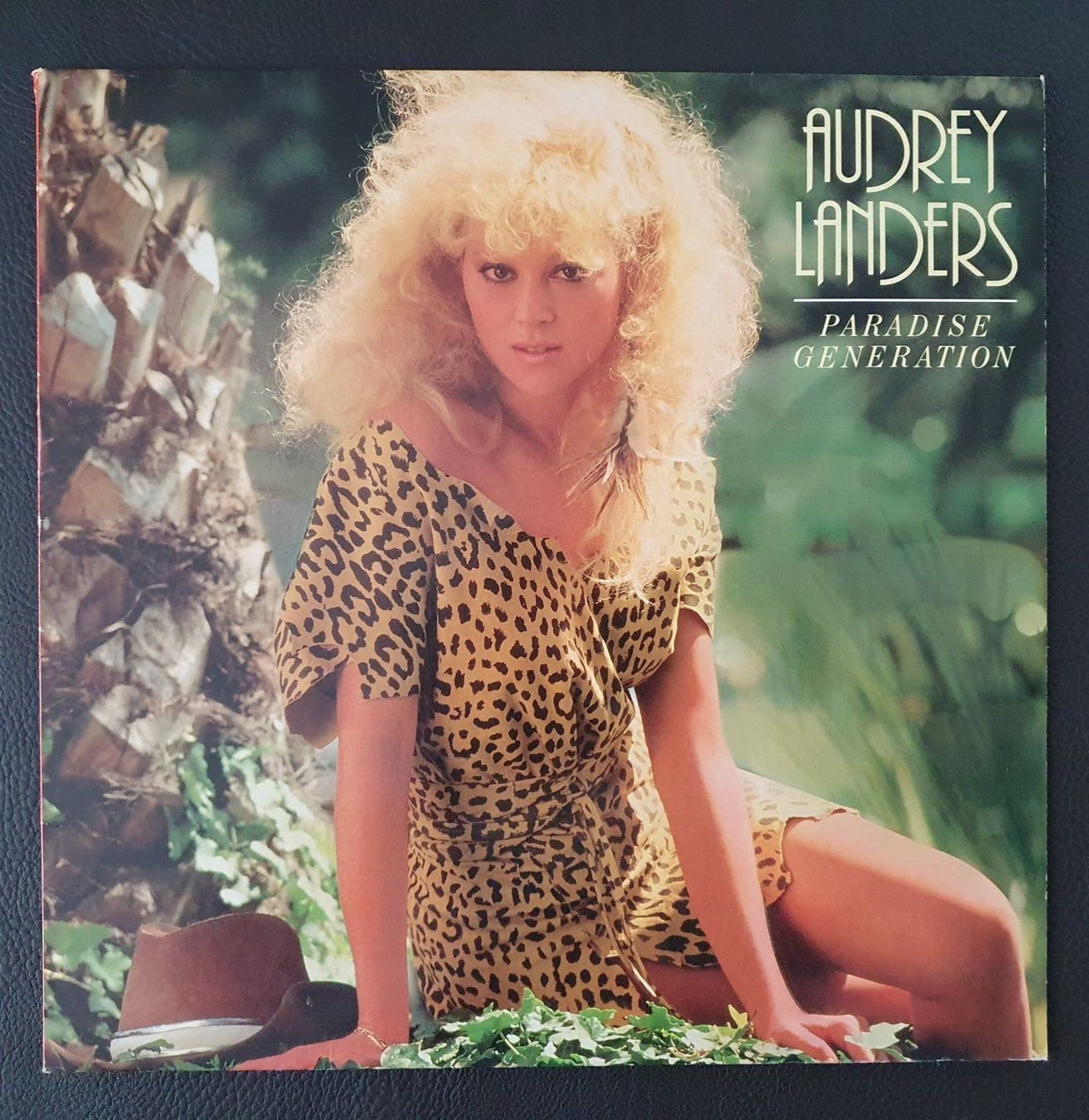 Schallplatten: LP - Audrey Landers "Holiday Dreams" – Gebraucht aus Dübendorf von Senita3