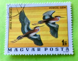 Briefmarken aus Ungarn gestempelt Siehe Original Fotos. 