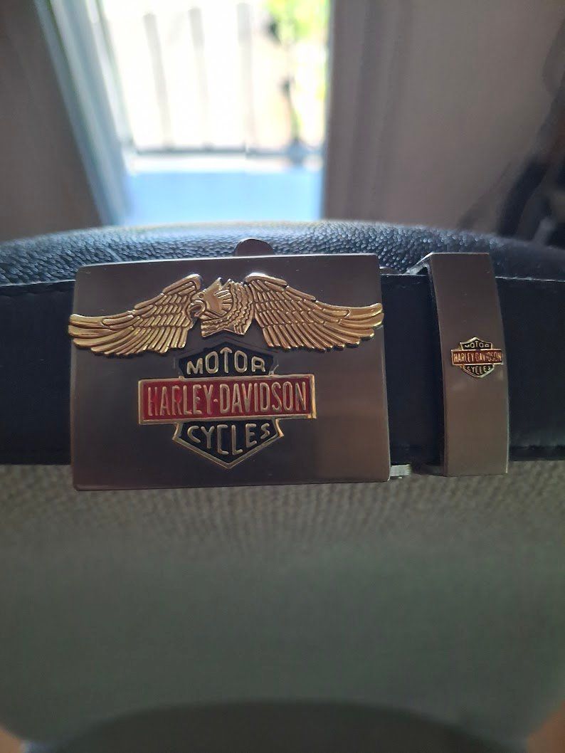 Cinture: Exclusiver Harley Gurt 125x3 cm – Nuovo (secondo la descrizione) da Spiez venduto da Fjuli