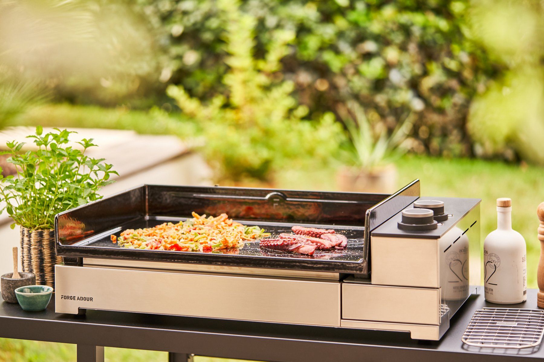 Grills: Forge Adour Plancha "Premium", Elektrisch, 60cm inkl. Deckel – Gebraucht aus Triengen von Michele-G 2