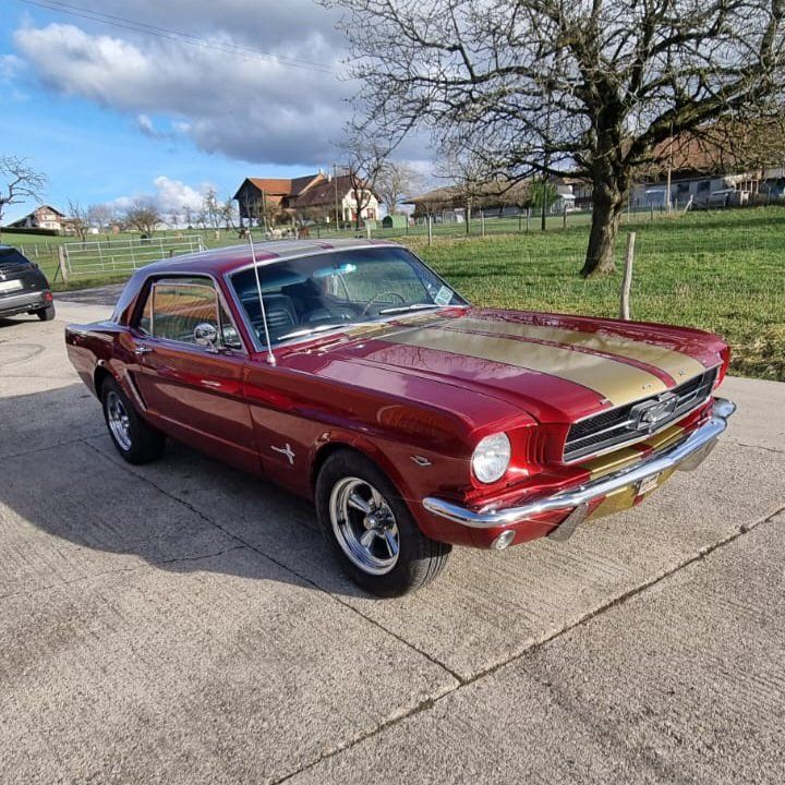 Ford Autos: Ford Mustang 1965 V8 – D'occasion à Pailly par hela70 1