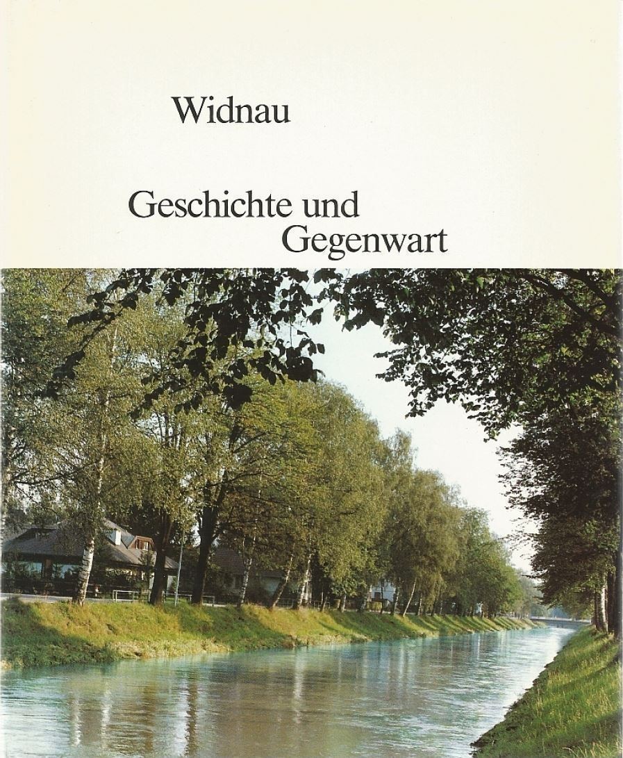 Libri: Widnau  Geschichte und Gegenwart – Usato da Bern venduto da Grindelwaldaus