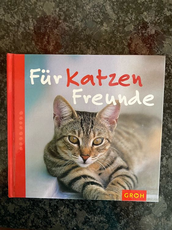 Für Katzenfreunde herziges Buch, Sprüche Kaufen auf Ricardo