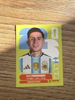 Panini WM Sticker Enzo Fernández