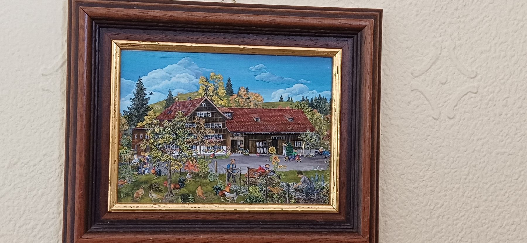 Foto & Immagini: Schönes Appenzeller Bild – Usato da Flawil venduto da Naphtali