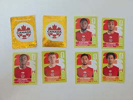 Sticker Panini WM 2026 Kanada 8 Stk