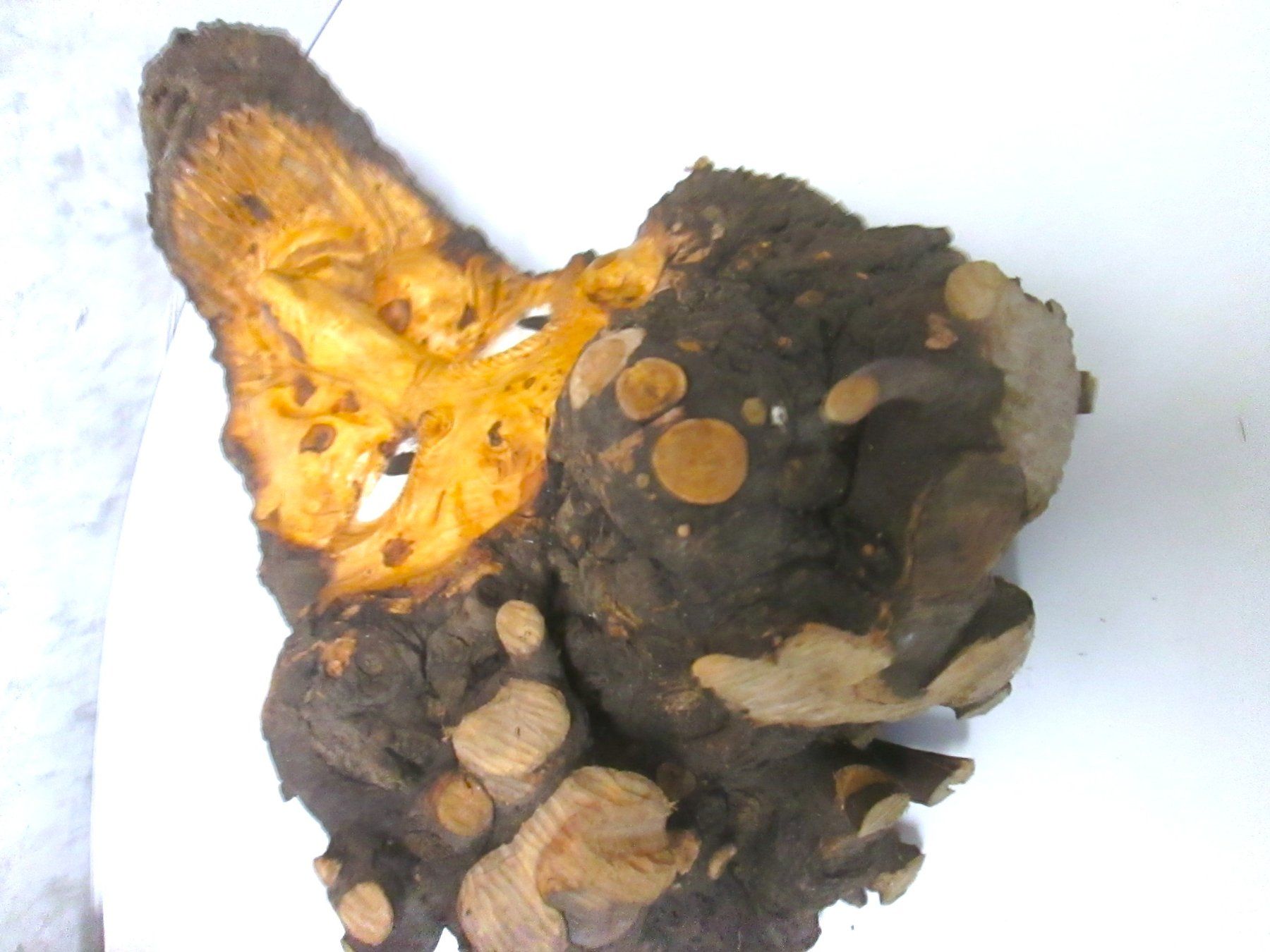 Sculture & Statue: In Holz geschnitztes Gesicht – Usato da Sementina venduto da babucia 2
