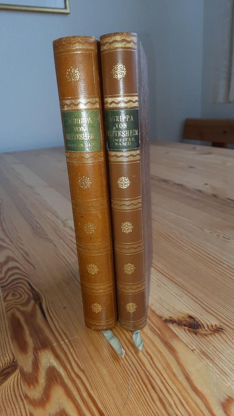 Bücher: AGRIPPINA V. NETTERSHEIM  VON FRITZ  MAUTHNER – Gebraucht aus zürich von gabab