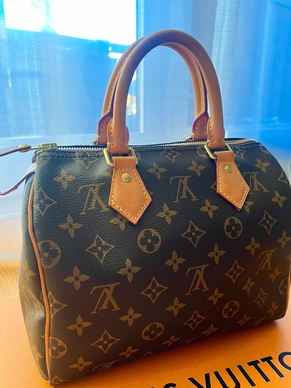 Louis Vuitton Borse da donna: Louis Vuitton Speedy 25 Monogram – Usato da Schlieren venduto da sim_zp5y 2