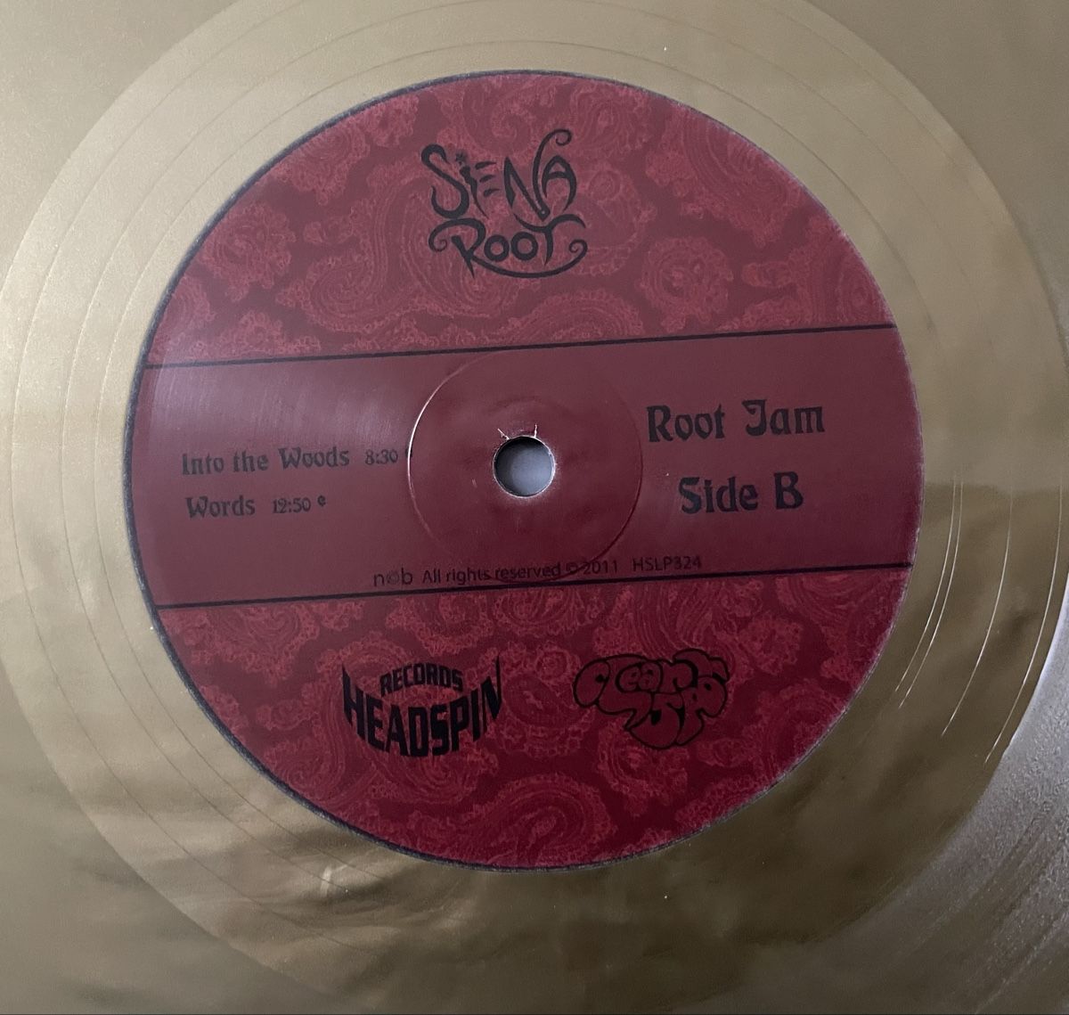 Dischi in vinile: Siena Root - Root Jam - Vinyl Doppel LP – Usato da Olten venduto da Bluespapst 3