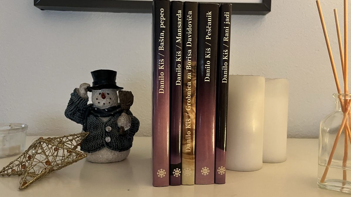 Libri: BÜCHER Komplet von Danilo Kiš – Usato da Zürich venduto da Mbbking