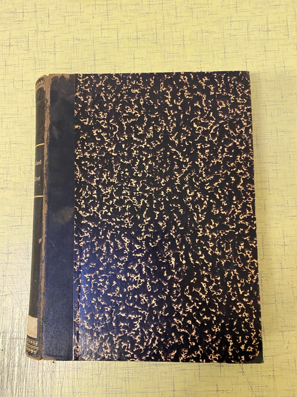 Libri: Dr. Frey, Jakob, Das Schweizerland in Bild und Wort. – Usato da Bazenheid venduto da ebarch 1