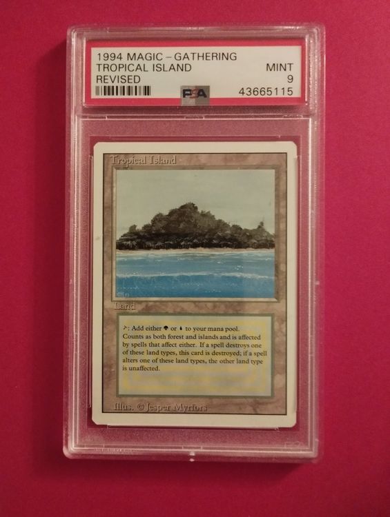 Unique Mtg Revised Dual Land Set 10 Cards All Graded Psa 9 Kaufen