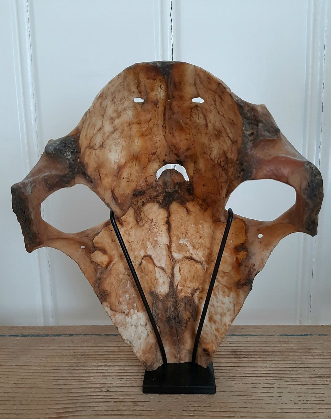 Altro in Antiquarato & Arte: Antike Timor Atoni Maske – Usato da Arbon venduto da torso444 1