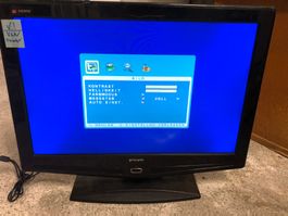 LCD TV Fernseher Bildschirm 22 Zoll  "gran prix"