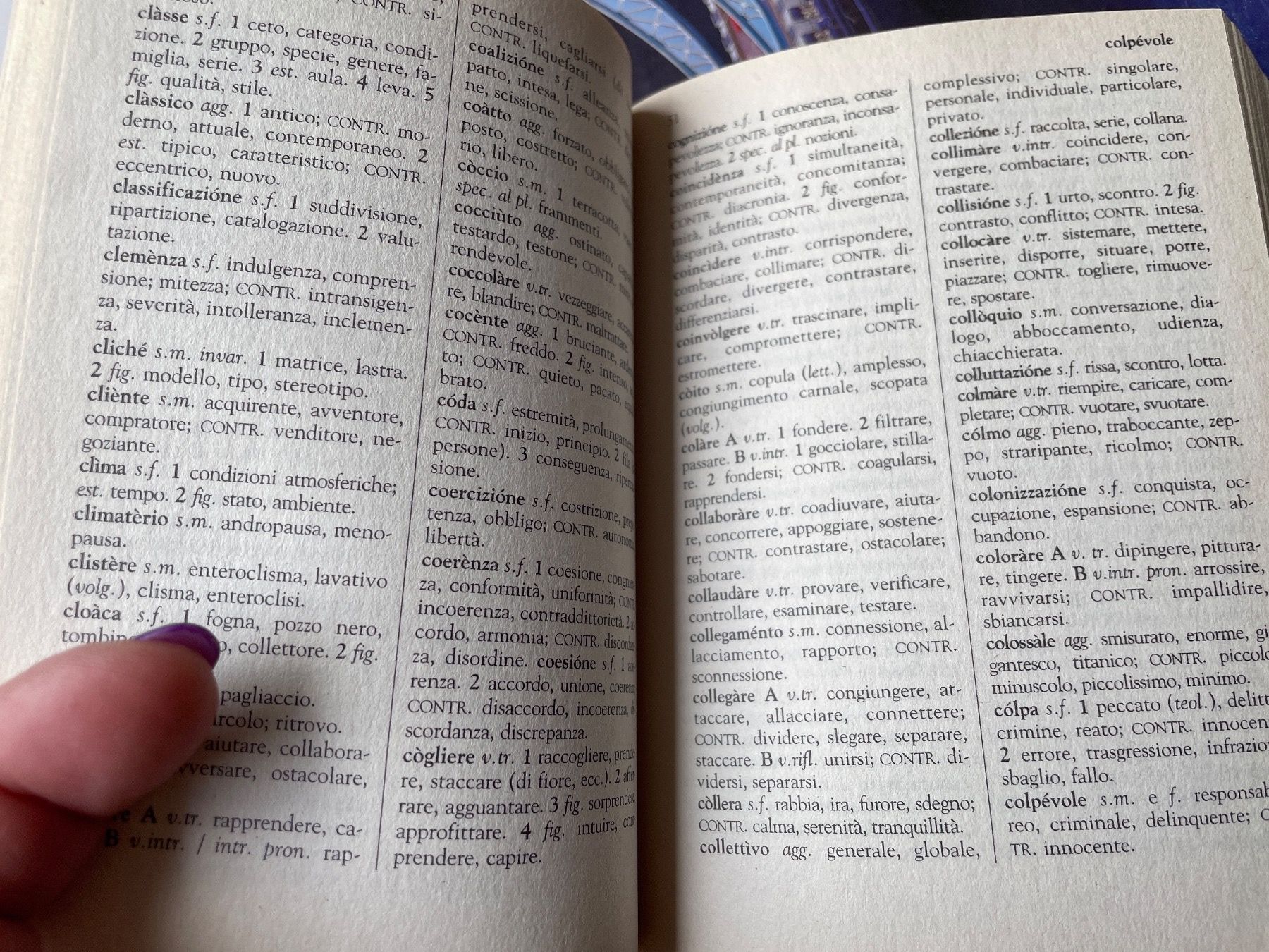 Libri: Dizionario Sinonimi e Contrari – Usato da Bergdietikon venduto da book-4-you 2