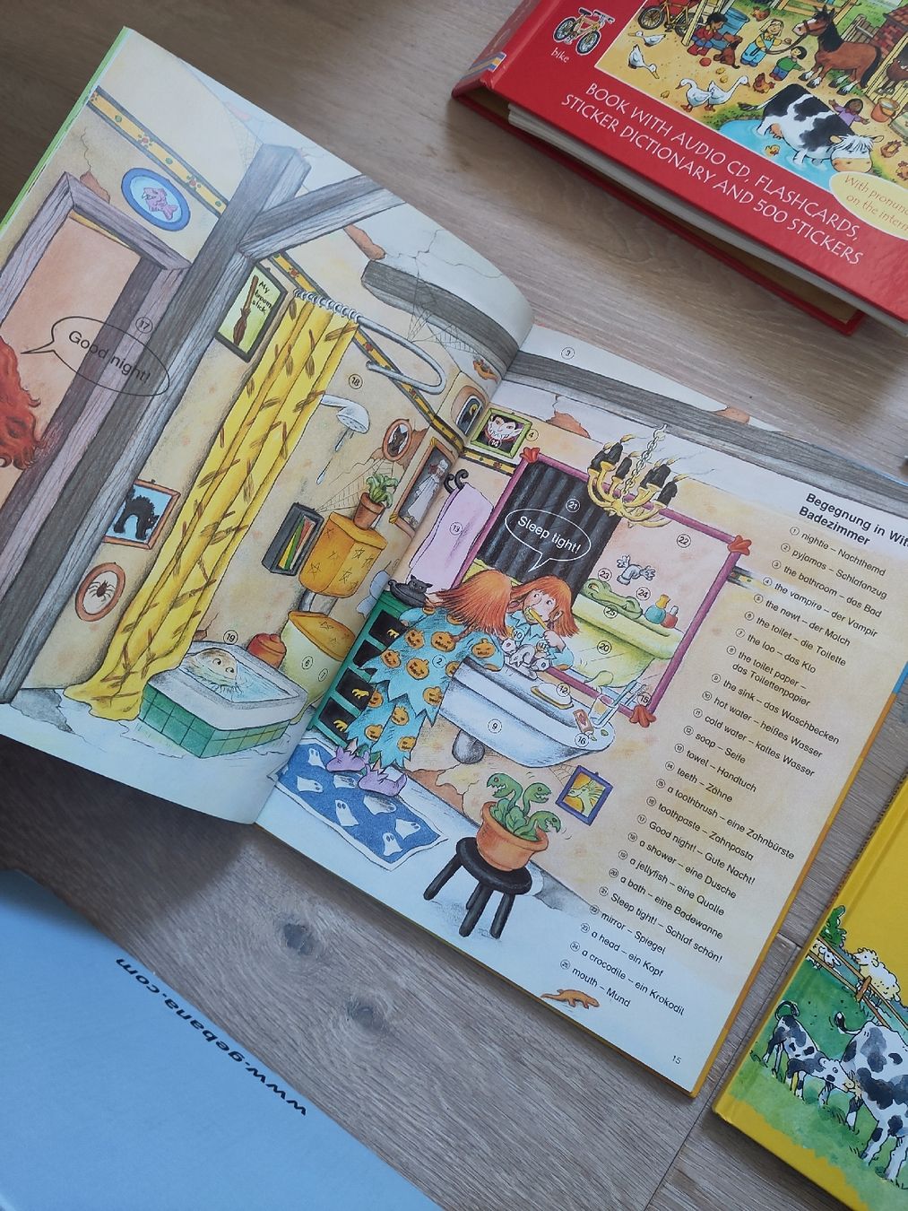 Libri: Englisch Bücher für Kinder, Sammlung – Usato da Abtwil AG venduto da sar_hfq8 5