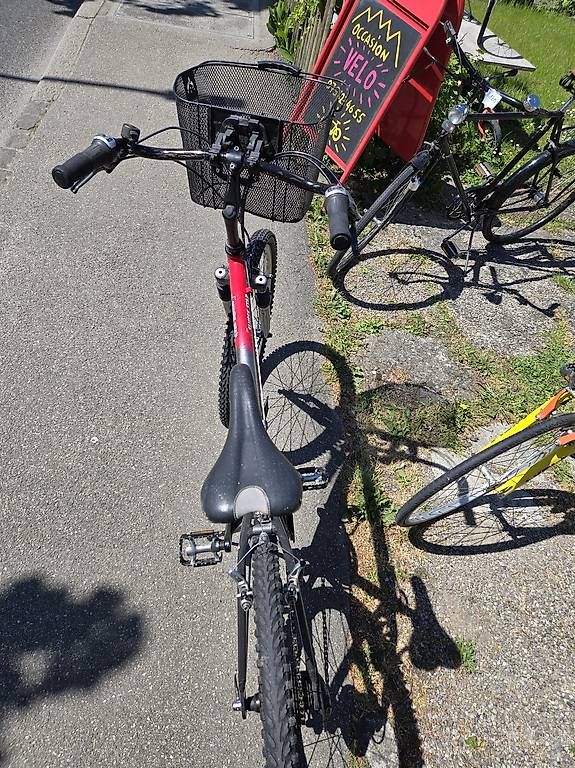 Biciclette: Terrano suisse star MTB – Usato da Biel/Bienne venduto da Rouf7 2