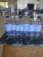 Whisky Set Flaschen Miniatures guter Zustand