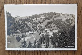 Rigi Klösterli, v. Steinen n.Hotel Alpina Rigi Kaltbad, 1928