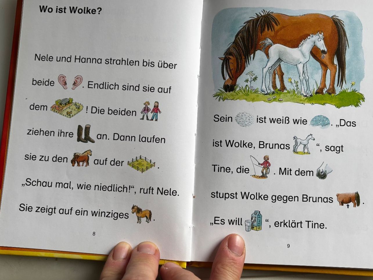 Libri: Bildermaus, Geschichten vom Ponyhof – Usato da Anglikon venduto da bluesun02 2