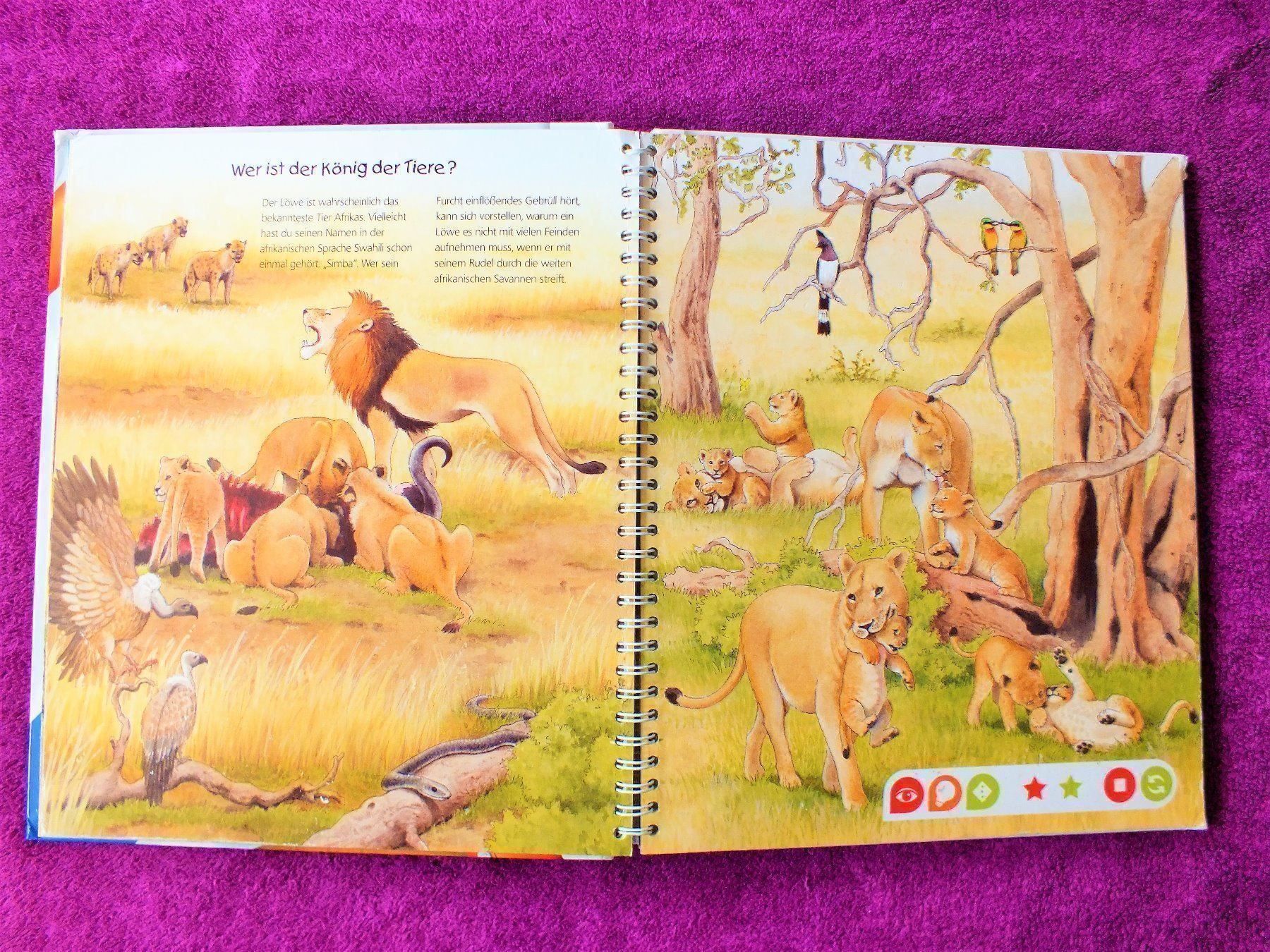 Libri: tiptoi Buch - Endecke die Tiere Afrikas – Usato da Müllheim Dorf venduto da Seeeule01 3