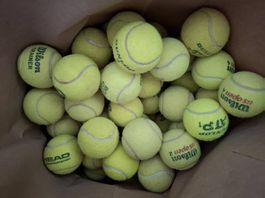 50 Gebrauchte Tennisbälle günstig abzugeben