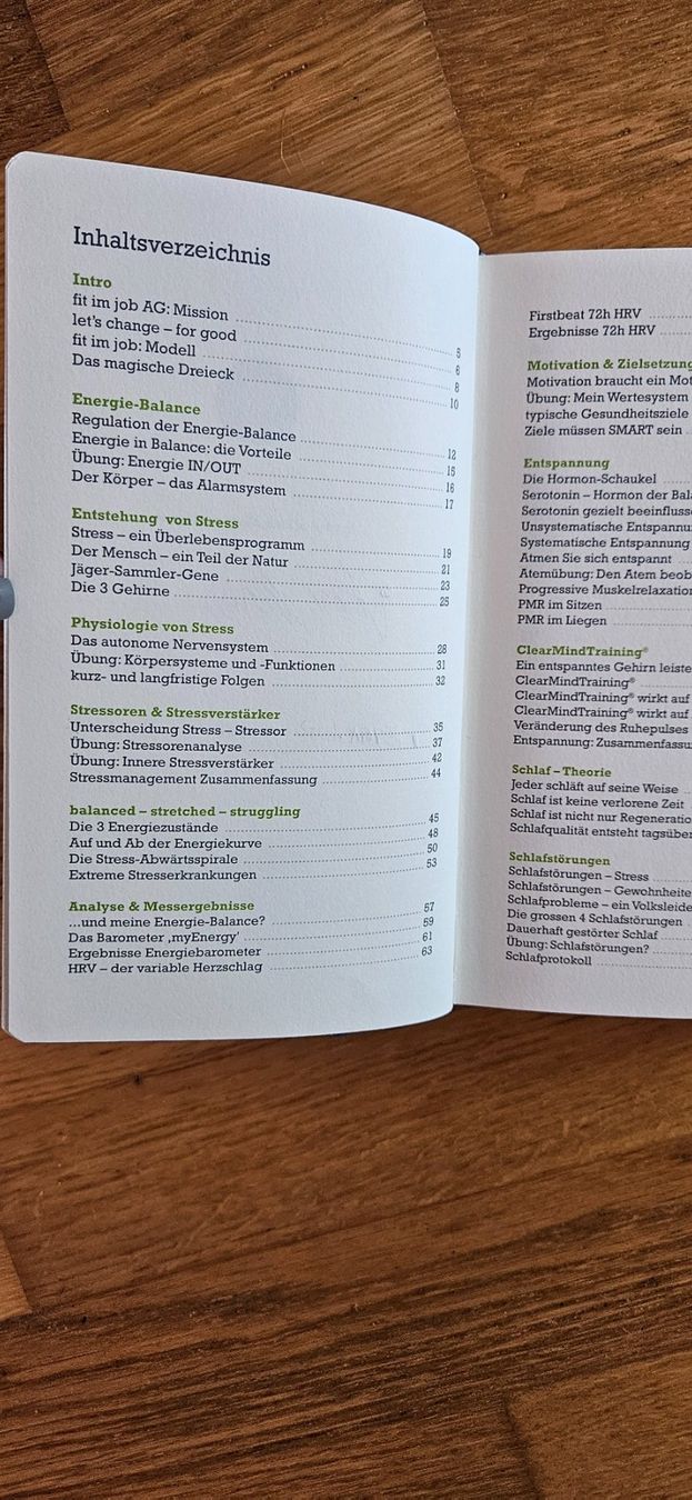 Libri: Buch/CD/Media-Player - Fit im Job / Clear-Mind-Training – Usato da Zweidlen venduto da Shubli 2
