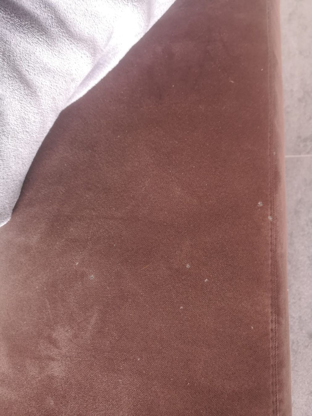Sofas: Designersofa Bullfrog zu verschenken – Gebraucht aus Murten von rac_vjm6 4
