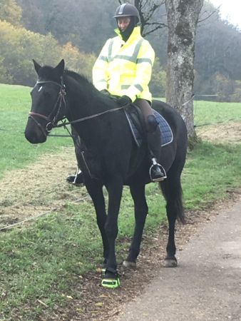 Leuchtjacke zum reiten