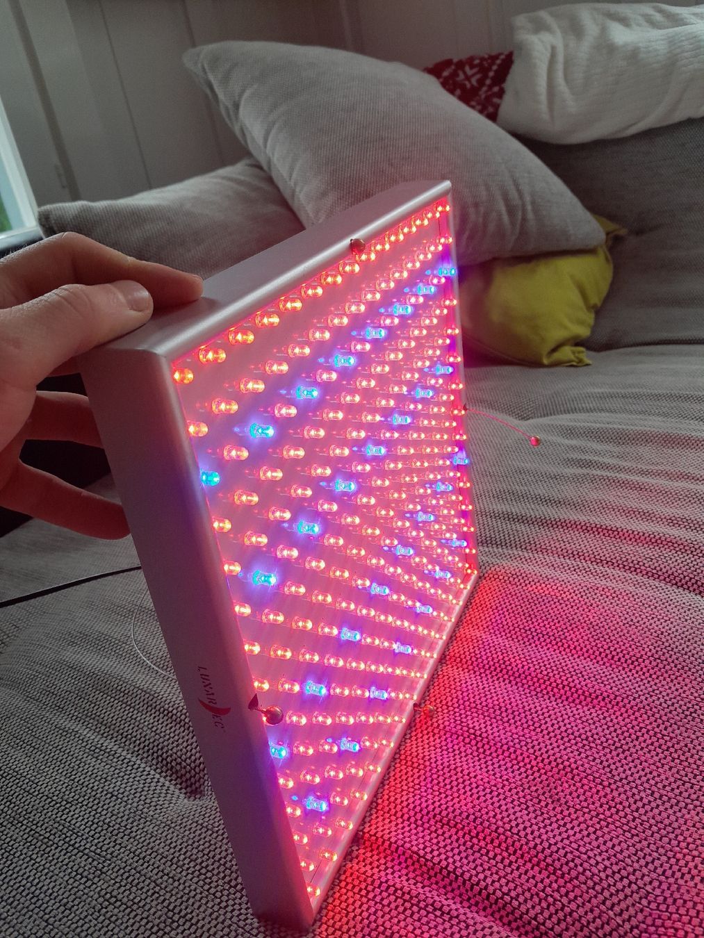 Lampade: LED Growlampe – Usato da Heiden venduto da Vwfahrermanu 3