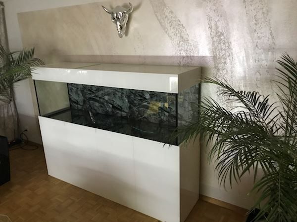 Acquari: Hochglanz Aquarium – Nuovo (secondo la descrizione) da Berikon venduto da fischundart 6