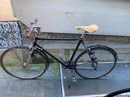 SIECH velo