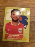 Panini Sticker 2026 PAN 15