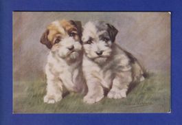 CHIEN / HUND