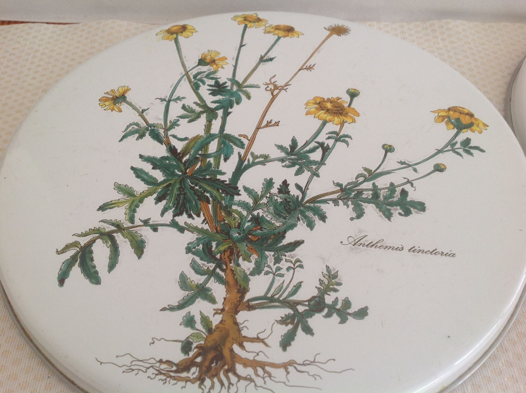 Villeroy & Boch Teglie da forno: Villeroy & Boch - Botanica - cache plaque de cuisson – Usato da Sion venduto da accroshoes 1