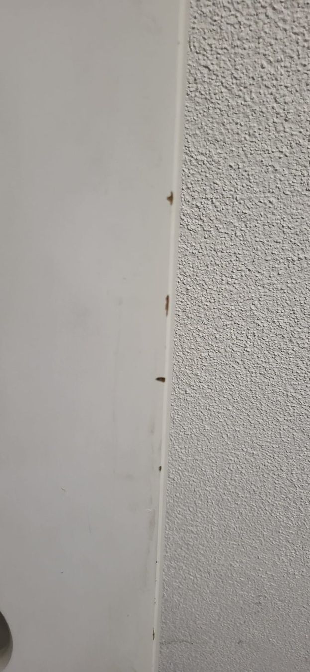 Flexa Betten: FLEXA Betterhöhung für Hochbett – Gebraucht aus Horgen von Sonya2 4