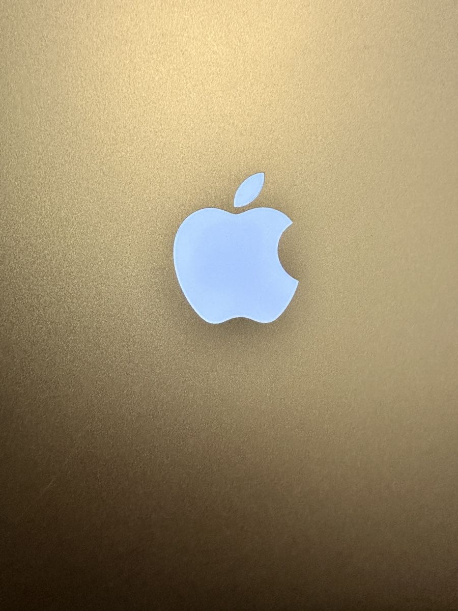 Apple Notebook: MacBook Air 13 Zoll 2017 – Usato da Wädenswil venduto da mlutz74 3