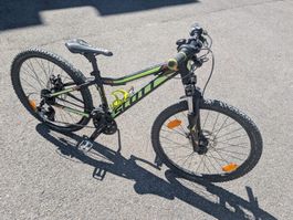 Scott Kindervelo 24 Zoll leichte Gebrauchsspuren