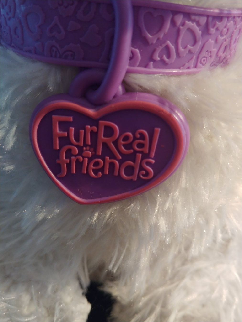 FurReal Giocattoli: FurReal friends Hund – Usato da Bäriswil BE venduto da Rezz 2