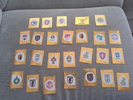 WM Panini Wappen