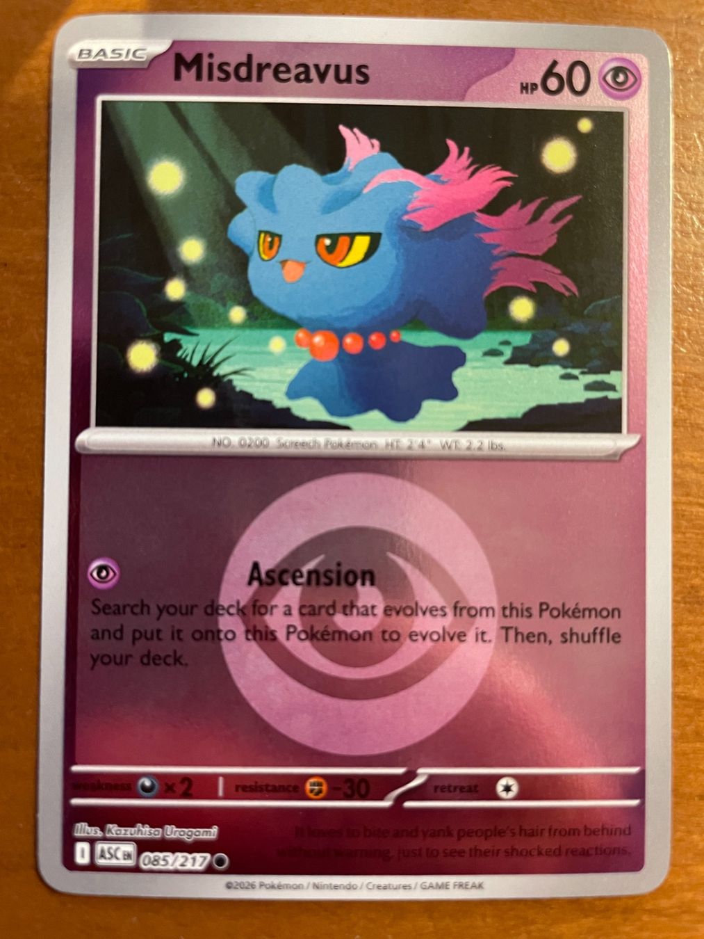 Pokémon Carte collezionabili: Pokemon Misdreavus Reverse (Versand gratis) – Nuovo (secondo la descrizione) da Chur venduto da Angerson