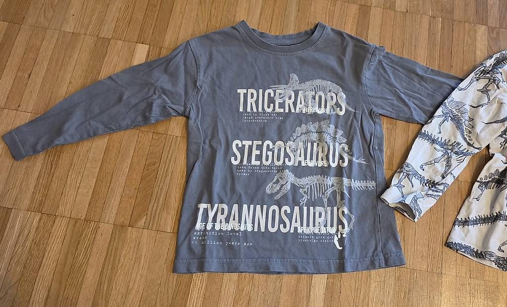 Maglioni & Felpe: 2x Dinosaurierpullover Grösse 110/116 – Usato da Weisslingen venduto da debi1992 2