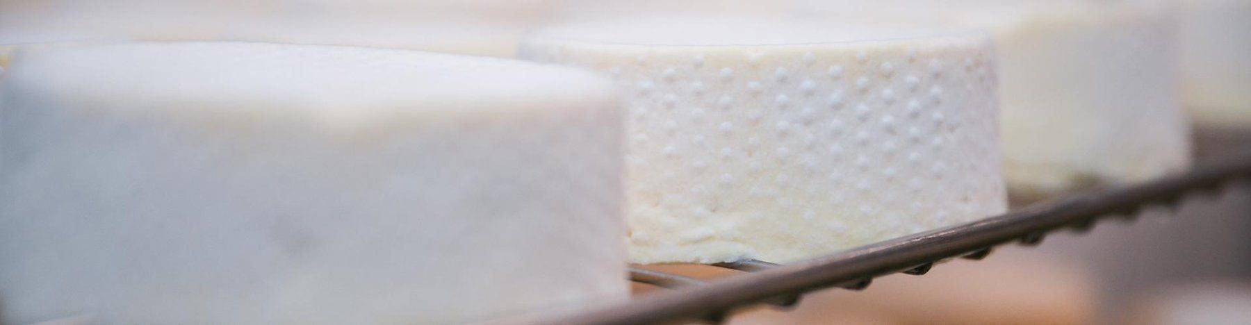 Cibi & Specialità: Käse Bio- Jersey Brie – Nuovo e nell'imballaggio originale da Wald venduto da Schafmilchkaeserei.K 5